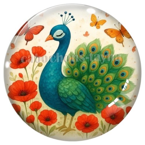 Cabochon paon, cabochon résine ou verre rond différente taille