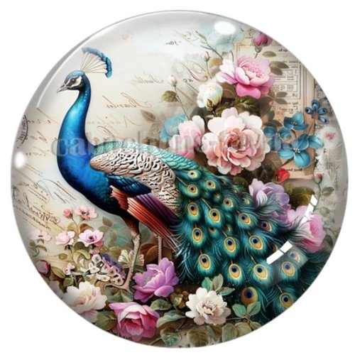 Cabochon paon, cabochon résine ou verre rond différente taille