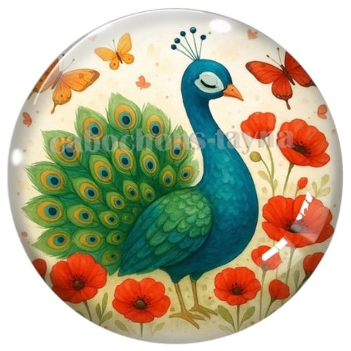 Cabochon paon, cabochon résine ou verre rond différente taille