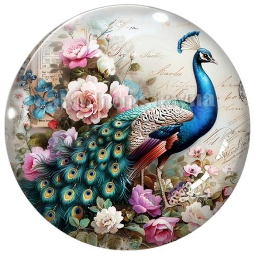 Cabochon paon, cabochon résine ou verre rond différente taille