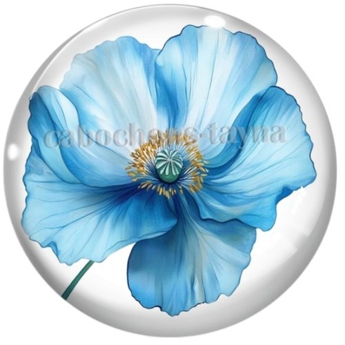 Cabochon fleurie en résine ou en verre différente taille