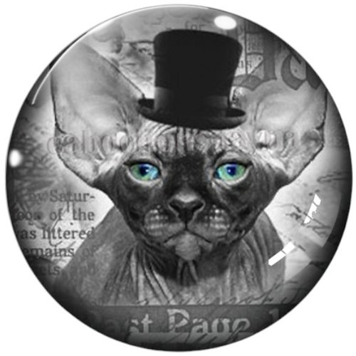 Cabochon chat sphynx, en résine ou en verre différente taille