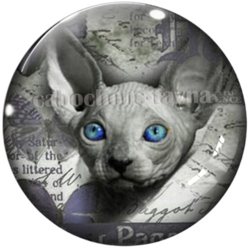 Cabochon chat sphynx, en résine ou en verre différente taille