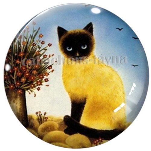 Cabochon chat en résine ou en verre différente taille