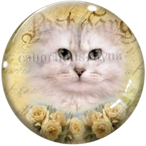 Cabochon chat en résine ou en verre différente taille