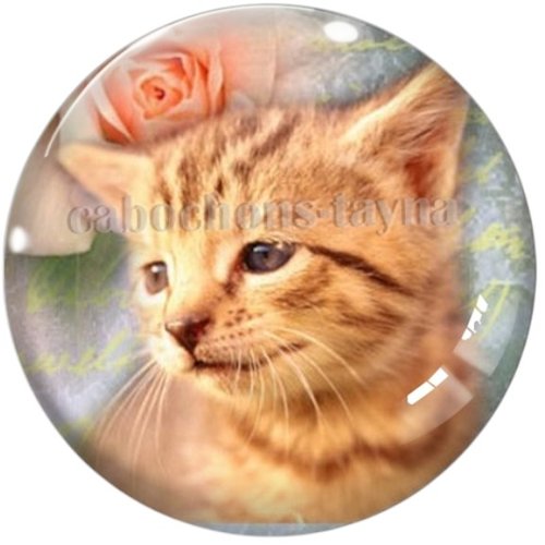 Cabochon chat en résine ou en verre différente taille