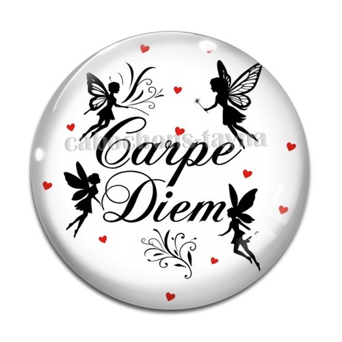 Cabochon carpe diem, cabochon résine ou verre rond différente taille