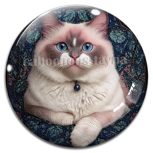 Cabochon chat étoile en résine ou en verre différente taille