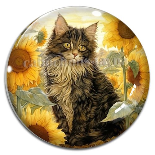 Cabochon chat étoile en résine ou en verre différente taille