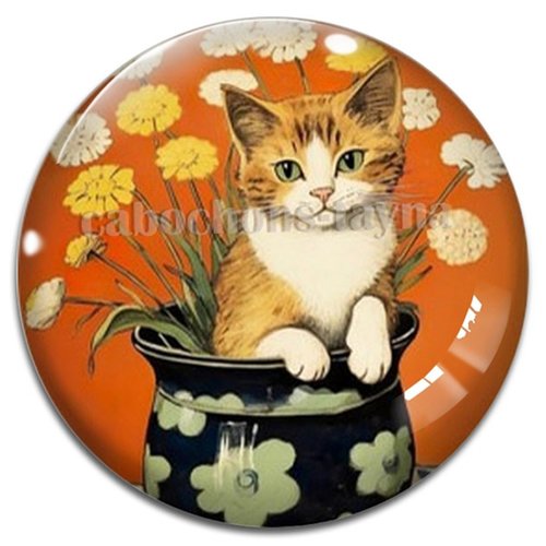 Cabochon chat étoile en résine ou en verre différente taille