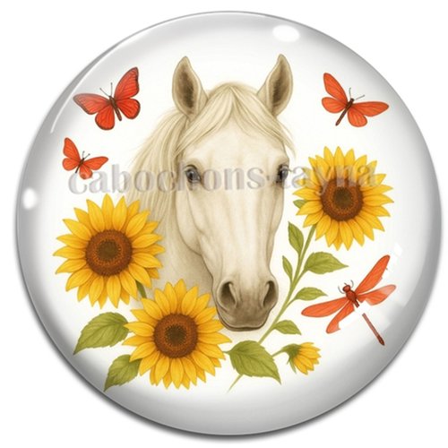 Cabochon cheval, résine ou en verre différente taille