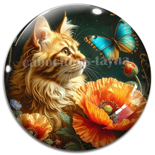 Cabochon chat, cabochon résine, verre rond différente taille