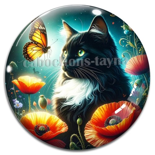 Cabochon chat, cabochon résine, verre rond différente taille