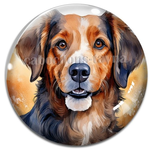 Cabochon chien, cabochon résine ou verre rond différente taille
