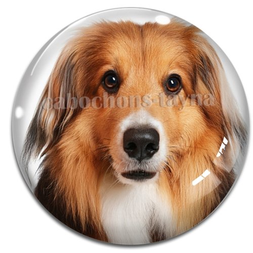 Cabochon chien, cabochon résine ou verre rond différente taille