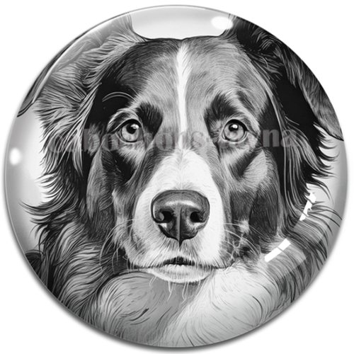Cabochon chien, cabochon résine ou verre rond différente taille