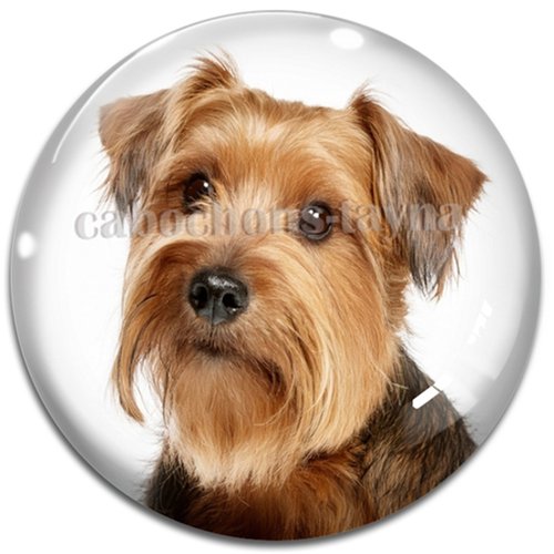 Cabochon chien, cabochon résine ou verre rond différente taille