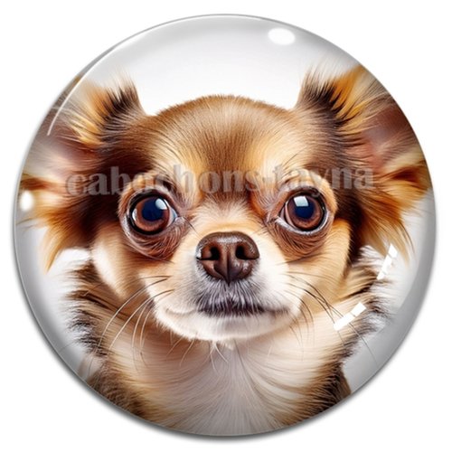 Cabochon chien, cabochon résine ou verre rond différente taille