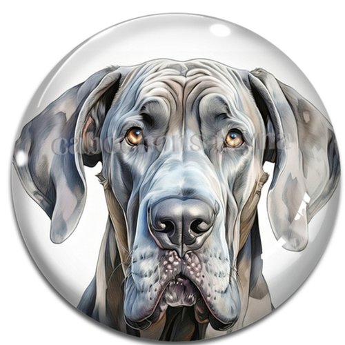 Cabochon chien, cabochon résine ou verre rond différente taille