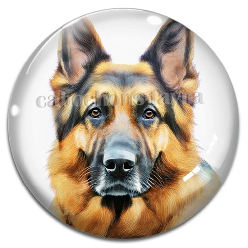 Cabochon chien, cabochon résine ou verre rond différente taille