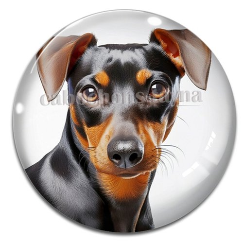Cabochon chien, cabochon résine ou verre rond différente taille