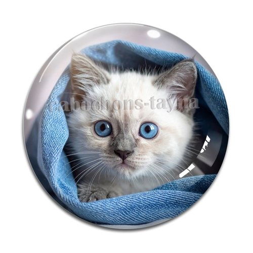 Cabochon chat, cabochon résine ou verre rond différente taille