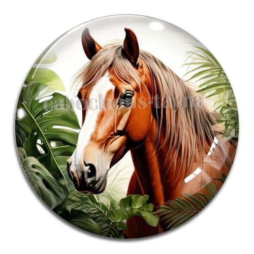 Cabochon cheval, cabochon résine ou verre rond différente taille