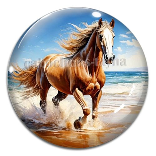 Cabochon cheval, cabochon résine ou verre rond différente taille