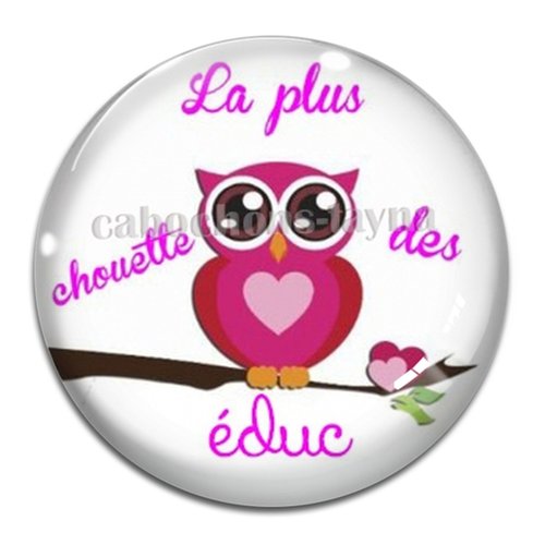 Cabochon la plus chouette des éducs, résine ou verre, plusieurs tailles