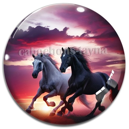 Cabochon cheval, cabochon résine ou verre rond différente taille
