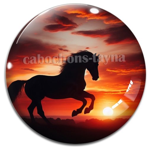 Cabochon cheval, cabochon résine ou verre rond différente taille