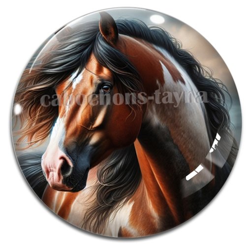 Cabochon cheval, cabochon résine ou verre rond différente taille