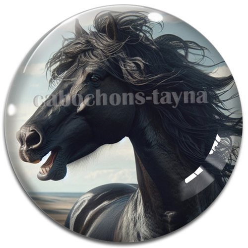 Cabochon cheval, cabochon résine ou verre rond différente taille