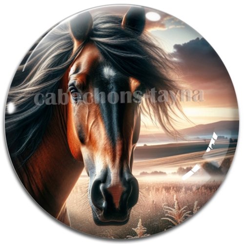 Cabochon cheval, cabochon résine ou verre rond différente taille