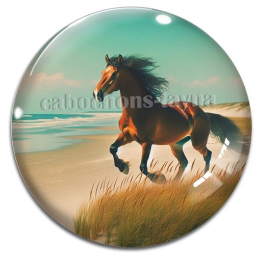 Cabochon cheval, cabochon résine ou verre rond différente taille