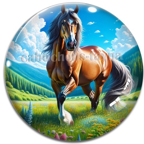 Cabochon cheval, cabochon résine ou verre rond différente taille
