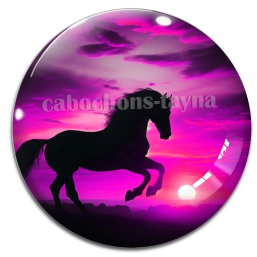 Cabochon cheval, cabochon résine ou verre rond différente taille