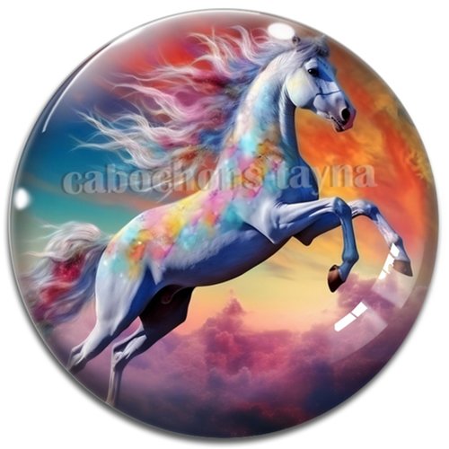 Cabochon cheval, cabochon résine ou verre rond différente taille