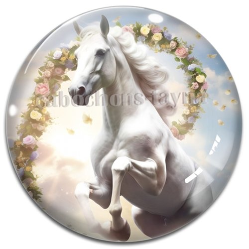 Cabochon cheval, cabochon résine ou verre rond différente taille