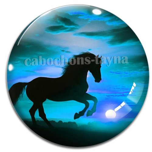 Cabochon cheval, cabochon résine ou verre rond différente taille