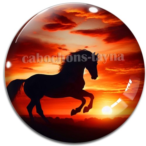 Cabochon cheval, cabochon résine ou verre rond différente taille