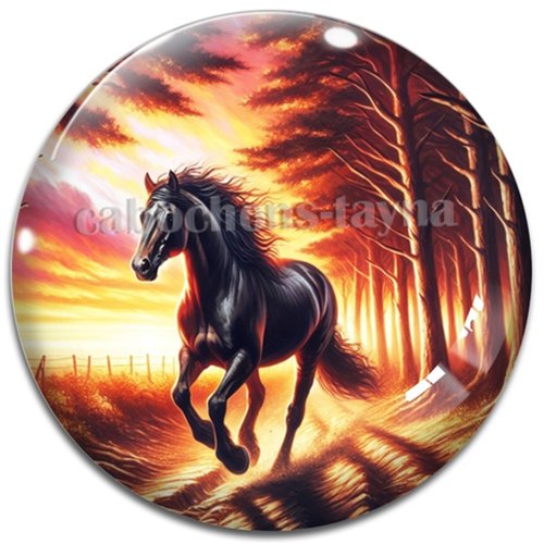 Cabochon cheval, cabochon résine ou verre rond différente taille