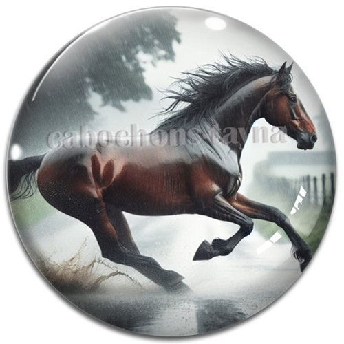 Cabochon cheval, cabochon résine ou verre rond différente taille