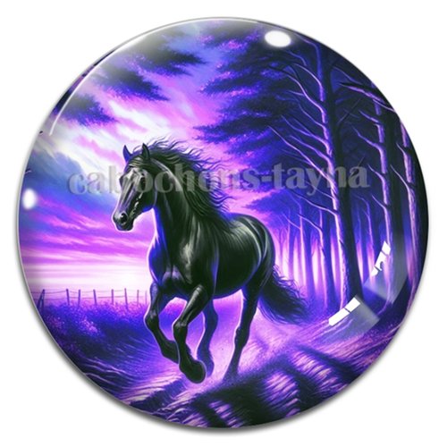 Cabochon cheval, cabochon résine ou verre rond différente taille