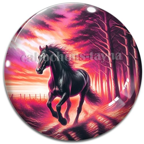 Cabochon cheval, cabochon résine ou verre rond différente taille