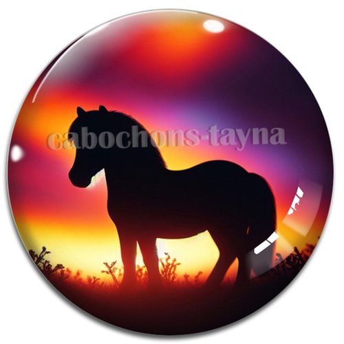 Cabochon cheval, cabochon résine ou verre rond différente taille
