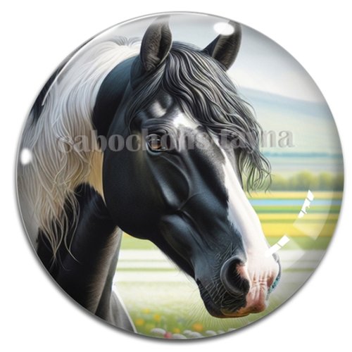 Cabochon cheval, cabochon résine ou verre rond différente taille