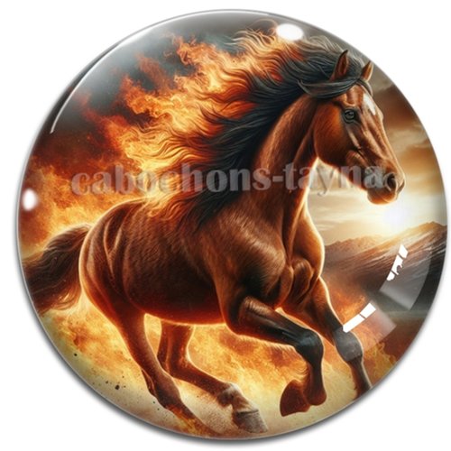 Cabochon cheval, cabochon résine ou verre rond différente taille
