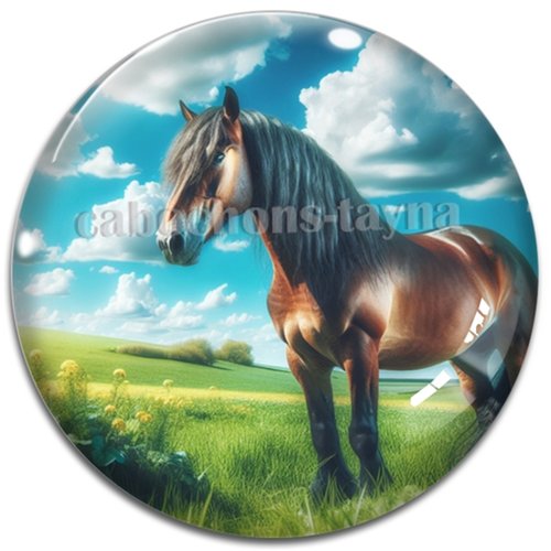 Cabochon cheval, cabochon résine ou verre rond différente taille