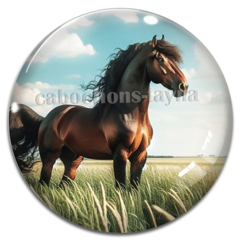 Cabochon cheval, cabochon résine ou verre rond différente taille